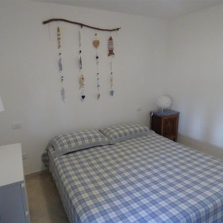 Apartament Tundra 1 Tirrenia Zewnętrze zdjęcie